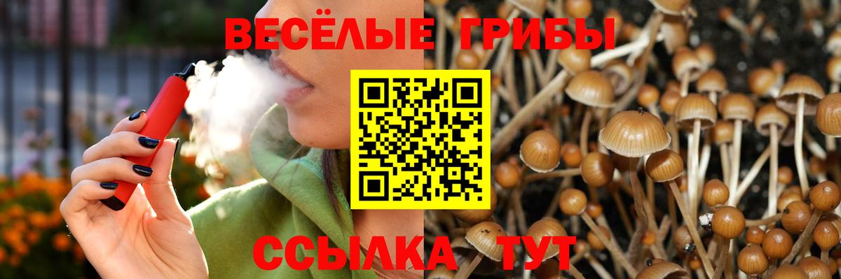 Галлюциногенные грибы Magic Shrooms  Вход с VPN  Соль-Илецк  Галлюциногенные грибы GOLDEN TEACHER 